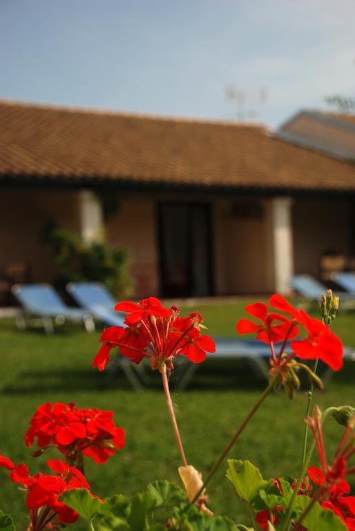 Lefkes Apartments Acharavi  Quarto foto